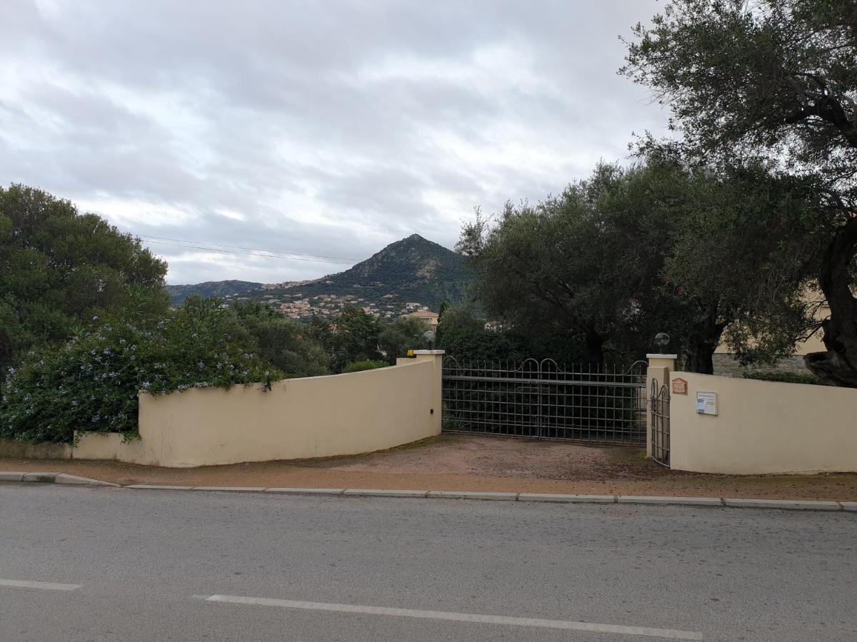 Villa Athena LʼÎle-Rousse 外观 照片