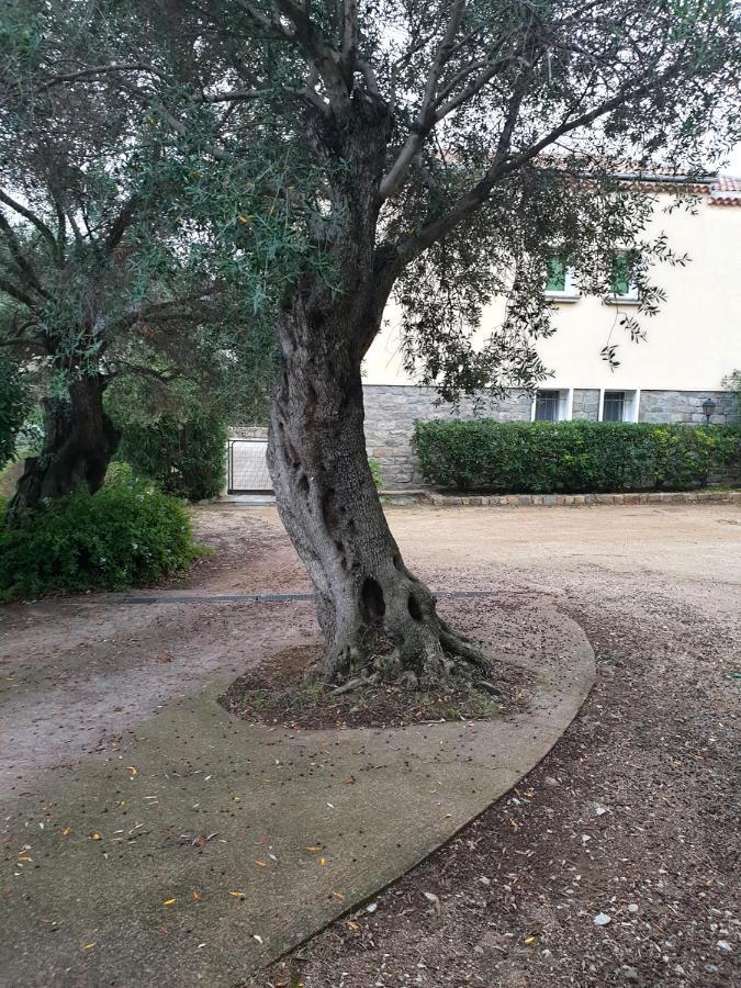 Villa Athena LʼÎle-Rousse 外观 照片